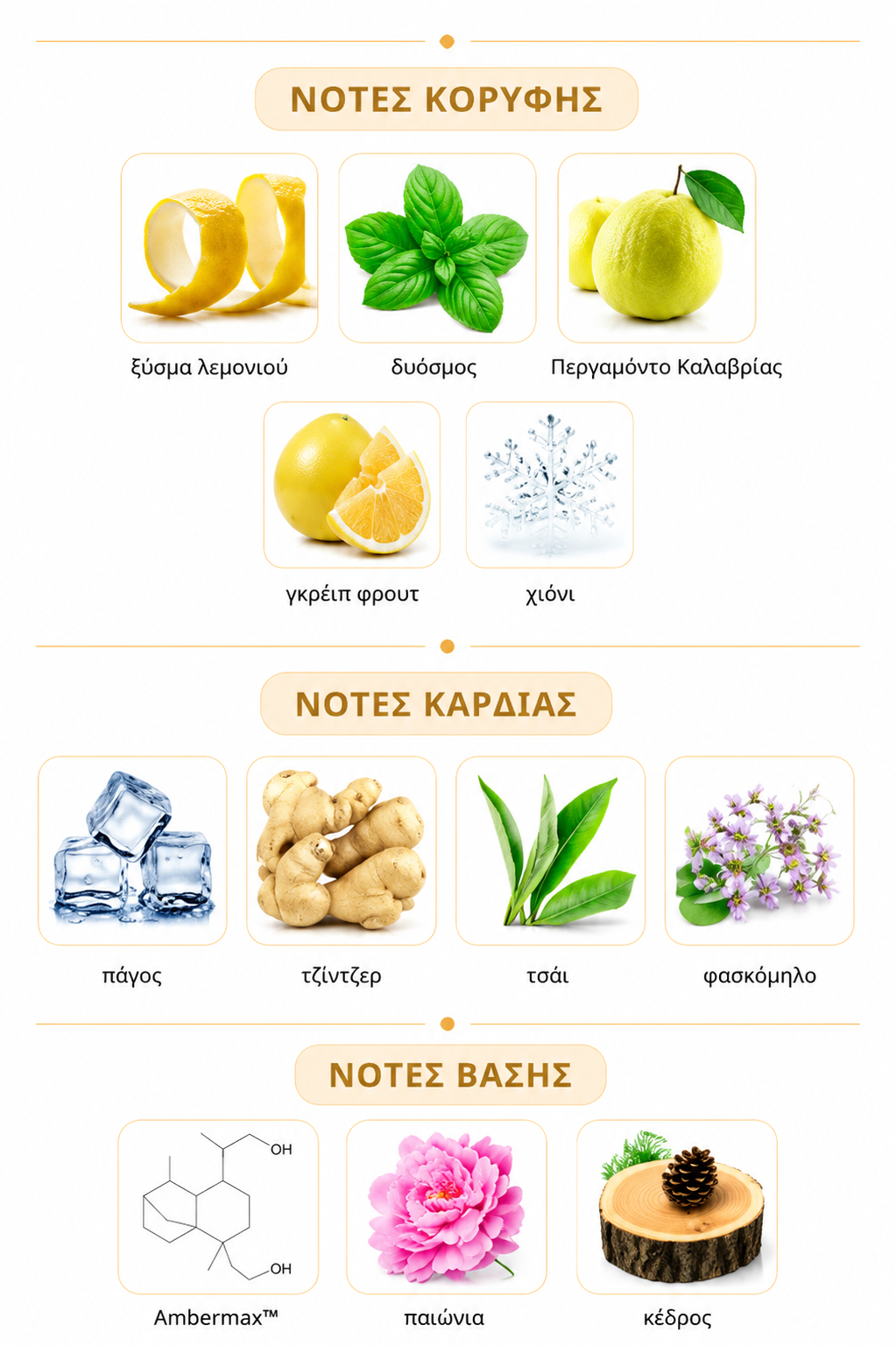 Νότες αρώματος - Freeze Riifs extrait de parfum 100ml