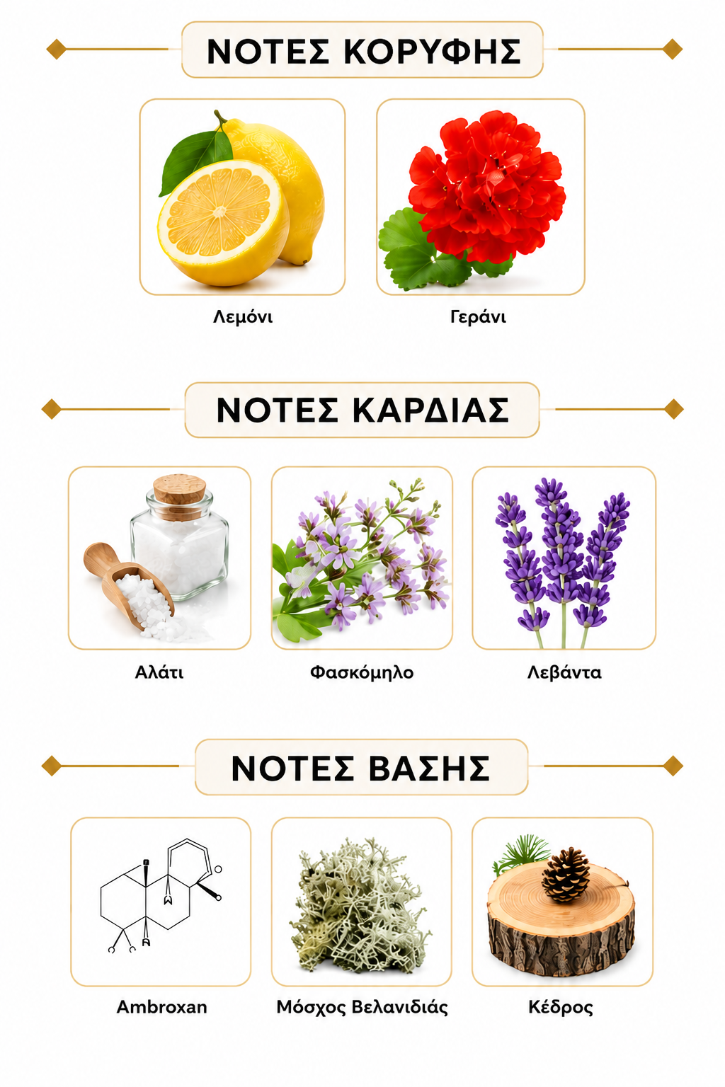 Νότες αρώματος - Ravine Ice French Avenue 100ml