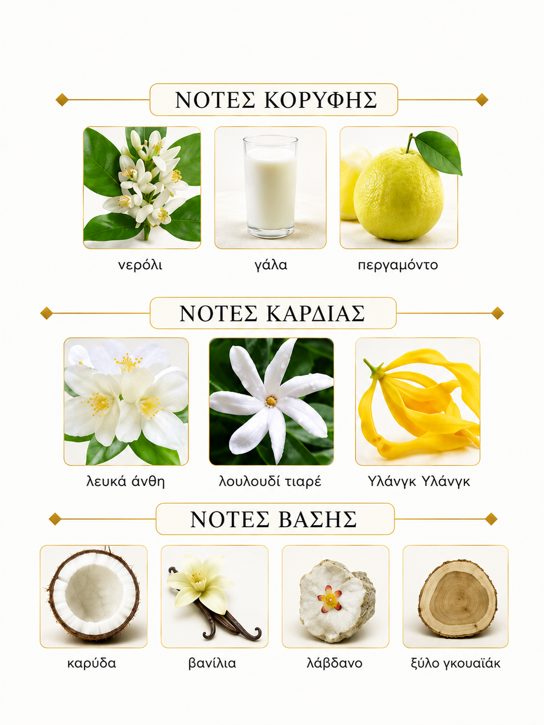 Νότες αρώματος - Veneno Bianco French Avenue 100ml