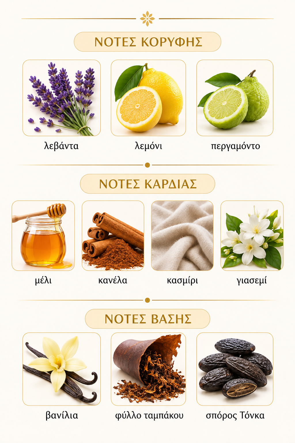 Νότες αρώματος - Italia Rayhaan 100ml